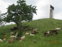 /album/fotogalerie/a10-2009-05-2010-590-jpg/